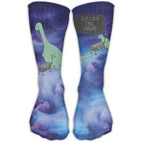 Unisex Two Funny Dinosaur Funny Cute Novelty Cotton Socks
