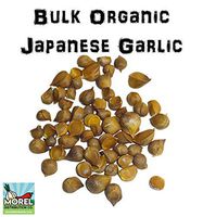Japanese Garlic (AJO Japones) 100% Natural!! Bulk Weights (30 Lbs, 40 Lbs, 50 Lbs, 70 Lbs and 100 Lbs) (100 Lbs)