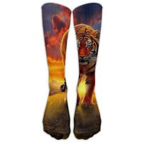 QQWEASFESF Animal Tiger Women's High Socks Over Knee,Mild Compression Knee High Support Socks