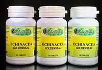 Echinacea Goldenseal, Made in USA - 180 (3x60) Capsules