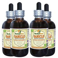 Sanicle (Sanicula Europaea) Tincture, Dried Herb Liquid Extract (Brand Name: HerbalTerra, Proudly Made in USA) 4x4 fl.oz (4x120 ml)