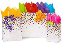 Made in USA Set of 6 Rainbow Confetti Paper Shopping Bags (3 Sizes) with Tissue Paper - 100% Recyclable