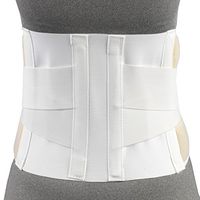 CHAMPION Industrial Belt Elastic Back Brace, Abdominal Support, White, 2X-Large