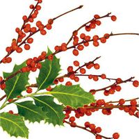 Creative Converting 656908 16 Count Scarlet Jubilee Paper Beverage Napkins