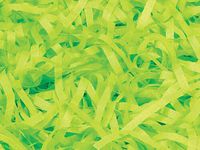 2oz Bag Bright Lime Green Gift Basket Shred Shredded Tissue Paper Filler Bedding nfLG -20