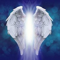 5x7ft Heaven angel wings background portrait cloth Computer printed party backdrop mr-1868