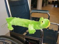 Frog Wheelchair Pal Wheelchair Armrest Cover