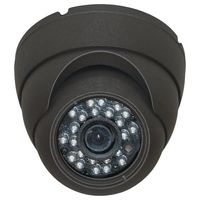 Eyeball Dome Camera