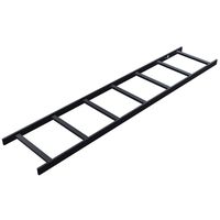 LADDER RACK RUNWAY, 5 FT Computers, Electronics, Office Supplies, Computing