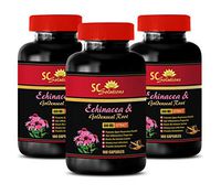 antioxidant and Immunity - Echinacea & Goldenseal Root 300MG - goldenseal Cleanse - 3 Bottles (180 Capsules)