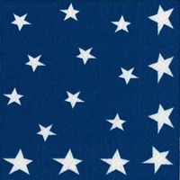4th of July Party Supplies Paper Napkins Luncheon Size flag Stars and Stripes 40 Count 6.5" x 6.5" Folded