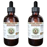 Echinacea Alcohol-Free Liquid Extract, Echinacea (Echinacea Angustifolia) Dried Root Glycerite Herbal Supplement 2x2 oz