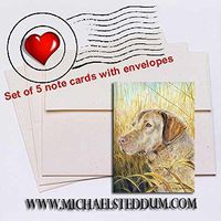 Michael Steddum Chesapeake Head Study V, Chesapeake Bay Retriever Note Card Set