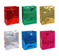 12 Medium Holographic Gift Bag - All Occasion Bags