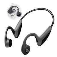 Earphones Microphone mic Built Titanium Earbuds Smartphones Enable Devices