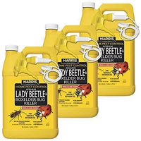 Harris 1 Gal. Asian Lady Beetle and Box Elder Bug Killer (3-Pack)