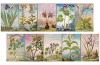 Decorative Image on Both Sides- Rectangle Box Matches- Strike Strip on Side of Box- Colored Match Tips- Wooden Matches (16 Century Watercolor)