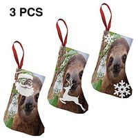 Christmas Stockings Decoration Sloth Facts Marvellous for Funny Xmas Party