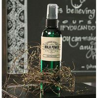 Wicked Good - Ninja Power Room Spray