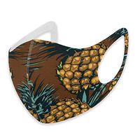 Mouth Masks for Dust Protection Anti Face Mask Washable Earloop Mask Pineapple