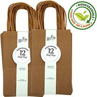 Gift Expressions Paper Gift Bags, 24 Count, Natural Brown Kraft Paper Bags, 5.25” x 8.5” x 3.5", 100% Recycled, Thick & Durable Eco Friendly Paper Bags with Handles, Goodie Bags, Party Bags