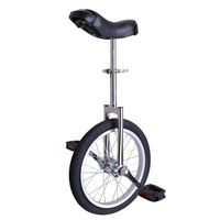 ZeHuoGe Silver 16" Unicycle Excellent Manganese Steel Frame Leakage Protection Mute Bearing US Delivery (Silver, 16")
