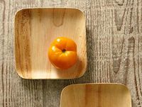 Verterra Compostable Dinnerware- 8" Square Entree Plate (300-Pack), 300, Natural