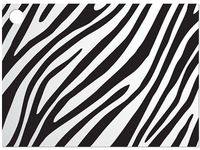 6 Pack Zebra Jungle Animal Print Stripes Black & White Theme Print Gift Enclosure Card Cards