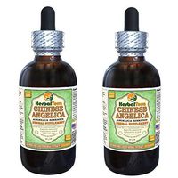 Angelica Chinese (Angelica Sinensis) Glycerite, Organic Dried Root Alcohol-Free Liquid Extract (Brand Name: HerbalTerra, Proudly Made in USA) 2x2 fl.oz (2x60 ml)