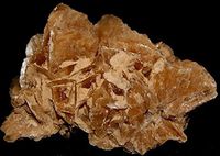 Desert Rose Gypsum Selenite Family Crystal DES1804