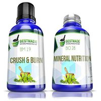 Fit & Healthy Kids a Weight Loss Program Designed Just for Children & Teens Naturally Control Hunger & Burn Fat Includes Diet Plan, Healthy Snack Options & Fitness Information