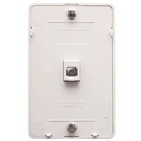 Wall Plate IDC 6P6C - White