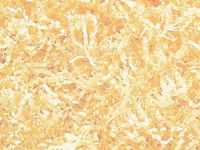 French Vanilla Small Box Kraft Gift Basket Box with Crinkle Paper Shred