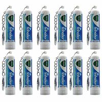 Vicks Inhaler (12 Sticks Wholesale Pack) Nasal Decongestant VapoInhaler with Keychain
