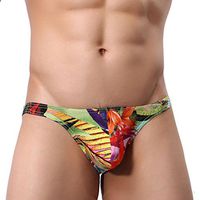 WYTong Men's Underwear, Novelty Men Elastic Briefs Funny Print Boxer Shorts Soft Breathable Underpants (Asian:L, Multicolor)