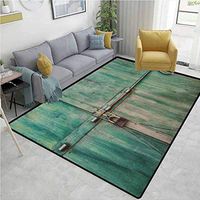 YucouHome Industrial Heavy Duty Area Rug Hearts, Aged and Closed Door with a Lock Close Up View in Retro Style Entrance Photo, Fashionable High Class Living Dinning Room(2'x 6') Green Brown