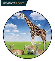 RUGSMAT Giraffe Modern Washable Round Bath Mat,Antelope and Giraffe On Green Meadow Zoo African Animals in Tropic Atmosphere Non-Slip Bathroom Soft Floor Mat Home Decor,Round-51 Inch