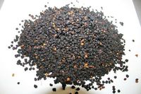 Organic Bio Herbs-Organic Dried Elderberry Fruit (Sambucus Nigra) 2 Oz.