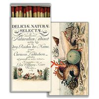 HomArt Large Decorative Shells 1775 Candle and Fireplace Wood Matches (Set of 2)