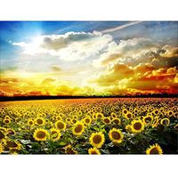 Meidexian888 DIY 5D Diamond Painting, Gifts Arts and Crafts Rhinestone Pasted Canvas Full Diamond 45x35cm (Multicolor)