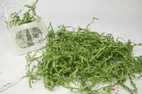 AmoreCreations - 7 Ounce Paper Shred Crinkle and Filler Paper Gift Wrap Supply (Sage Green)