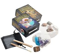 Set of 2 Dig Your Own Fossil & Mineral Kits - Small by Fossil Gift Shop