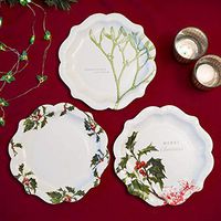 Talking Tables Botanical Christmas Disposable Plates, 12 count, for Christmas, Multicolor
