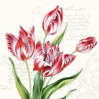 Ambiente Classic Tulips Paper Lunch Napkins, Pack of 20, 6.5" x 6.5"