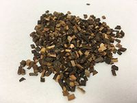 桂枝尖 | Cinnamon Twig