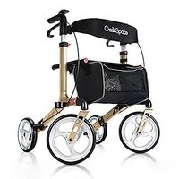 OasisSpace Aluminum Rollator Walker, with 10'' Wheels and Seat Compact Folding Design Lightweight Baking Complimentary Carry Bag (Champagne)