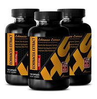 Natural Immune Booster for Adults - ECHINACEA Extract - Prostate Support - 3 Bottles 300 Capsules