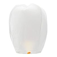 5 Pack Chinese Lanterns ECO Friendly - 100% Biodegradable- Beautiful Lanterns for Birthdays, Souvenirs