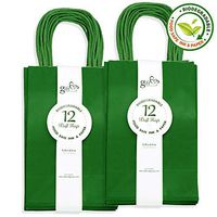 Gift Expressions 24CT Small Green Biodegradable, Food Safe Ink & Paper, Premium Quality Paper (Sturdy & Thicker), Kraft Bag with Colored Sturdy Handles (Small, Green)