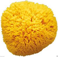 Dust Mop with Enhanced Holding Mechanism & Stainless Steel Telescopic Handle-for Wet & Dry Hardwood Wood Laminate & Tile Floor Cleaner Set with 2 Microfiber Mop Washable Pads & Brush Cleaner.